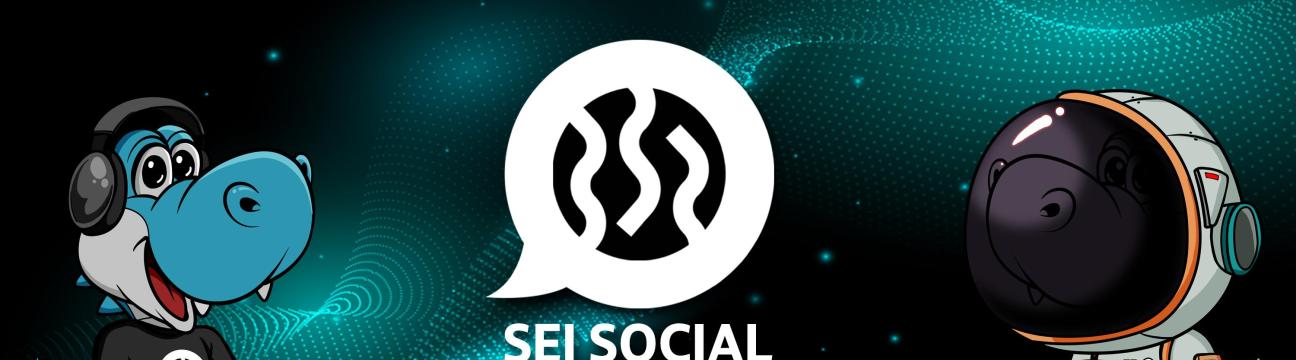 seisocial